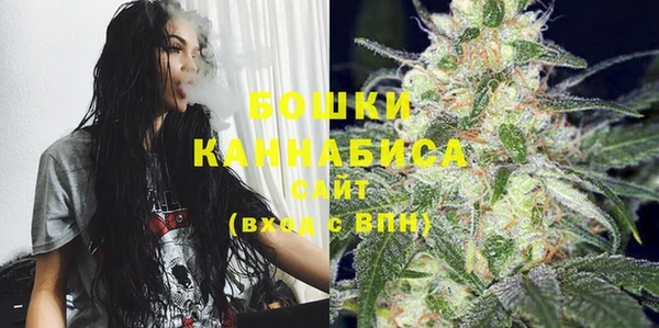 твердый Вяземский